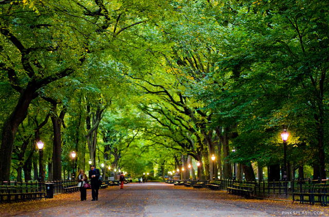 This is a photo of a street in the world famous Central Park in New York City. 