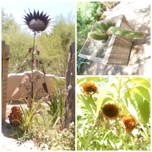 A peaceful stroll through The Tohono Chul Garden. 