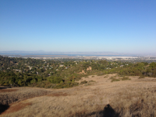 A view of Redwood City from high up within Edgewood Park. Its hard to beat a hike in Edgewood for restoring your soul.