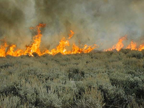 Rangeland Fire Management