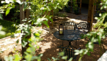 San Antonio has beautiful landscaping options that require little water, support urban wildlife.