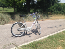 I try to get on the Greenway system daily. Right now it's primarily for exercise and calming "therapy."