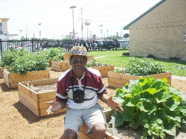 Community gardening in a southside food desert where elderly and disabled people live. One plot can supplement a lot.