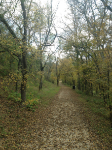 Enjoying nature's beauty and fall colors at Medina River Natural Area in December 2014.