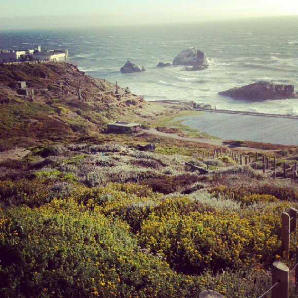 I'm thankful I get to live so close to beautiful Golden Gate Park and the ocean! 