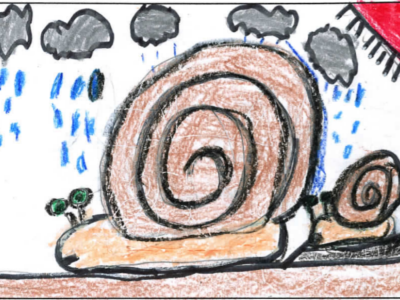 A family snail