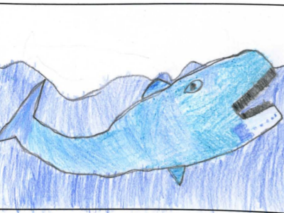 jumping whale 