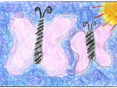 Pink butterflies art