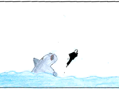 shark