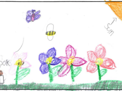 the beautiful garden