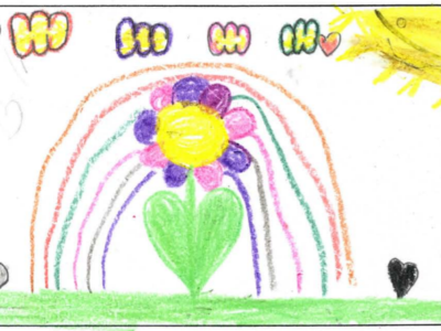 the flower and the rainbow