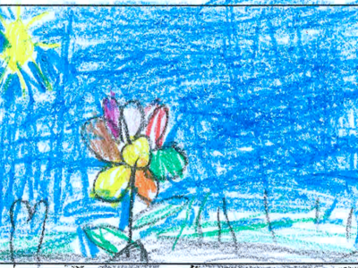 Flower drinking Water
