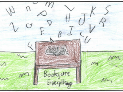 THE BRIGHT LIBRARY