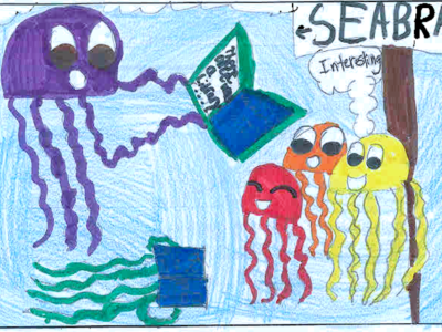 the jellyfish sea brary