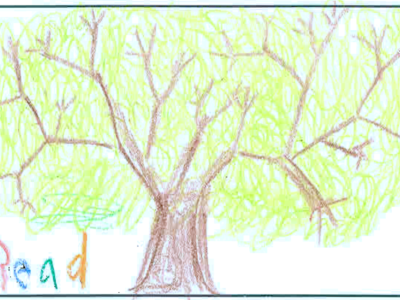 The library tree