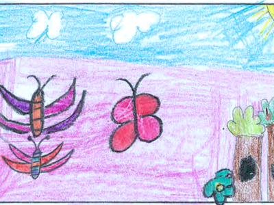 THE NATURE PICTURE