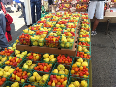 Creating a Food Rescue Program in SF 