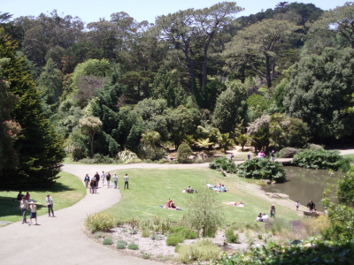 Golden Gate Park