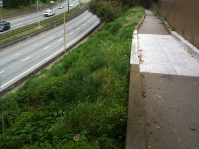 greenway