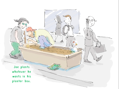 The Planter box project