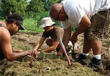 Farm Labor - City Resident Exchange Program