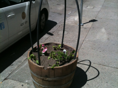 The Planter Box project