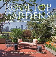 Creating space: Roof top access