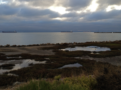 Walking along the many bay shore trails in Hunter's Point.