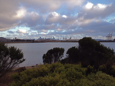 Walking along the many bay shore trails in Hunter's Point.