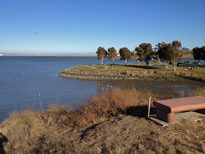 Walking along the many bay shore trails in Hunter's Point.