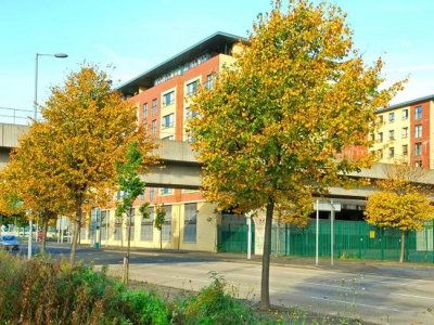 Greening and landscaping