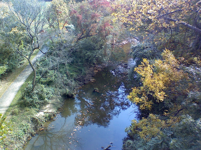 Creeks