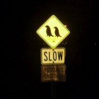 Lower Speed Limits & Enforce no Stopping in Bike Lanes