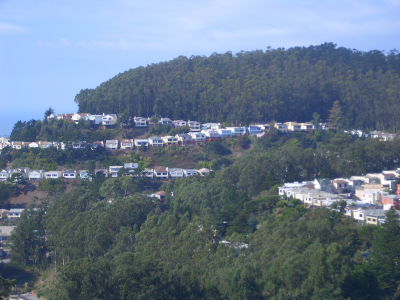 Help save Sutro Forest Openspace Reserve from "Tree Genocide"