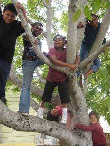 Quesada Gardens Initiative empowers people, transforms places