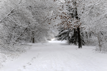 Nothing like cross country skiing at Sheehan Park to help chase away the winter blues.