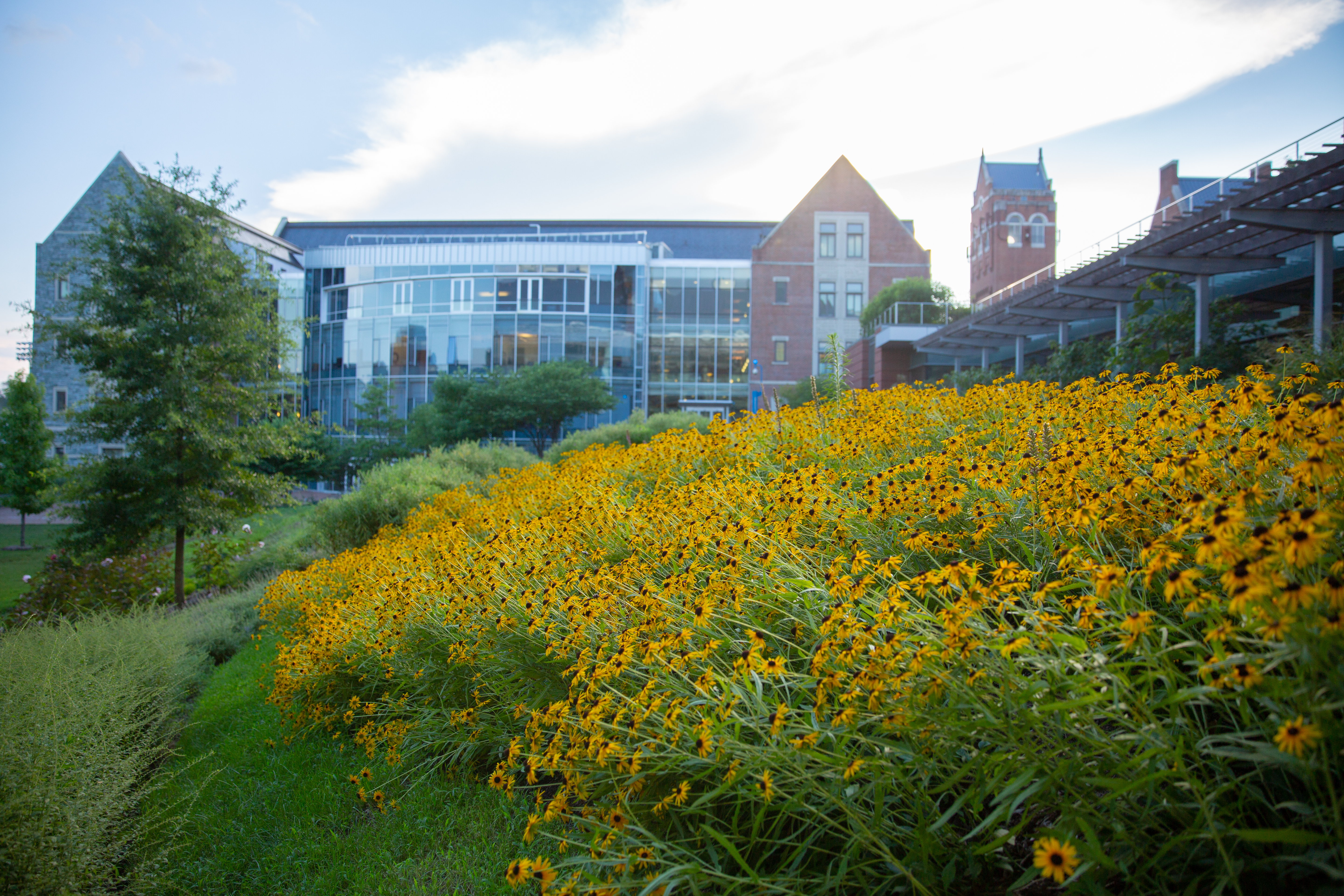 Defining Sustainability