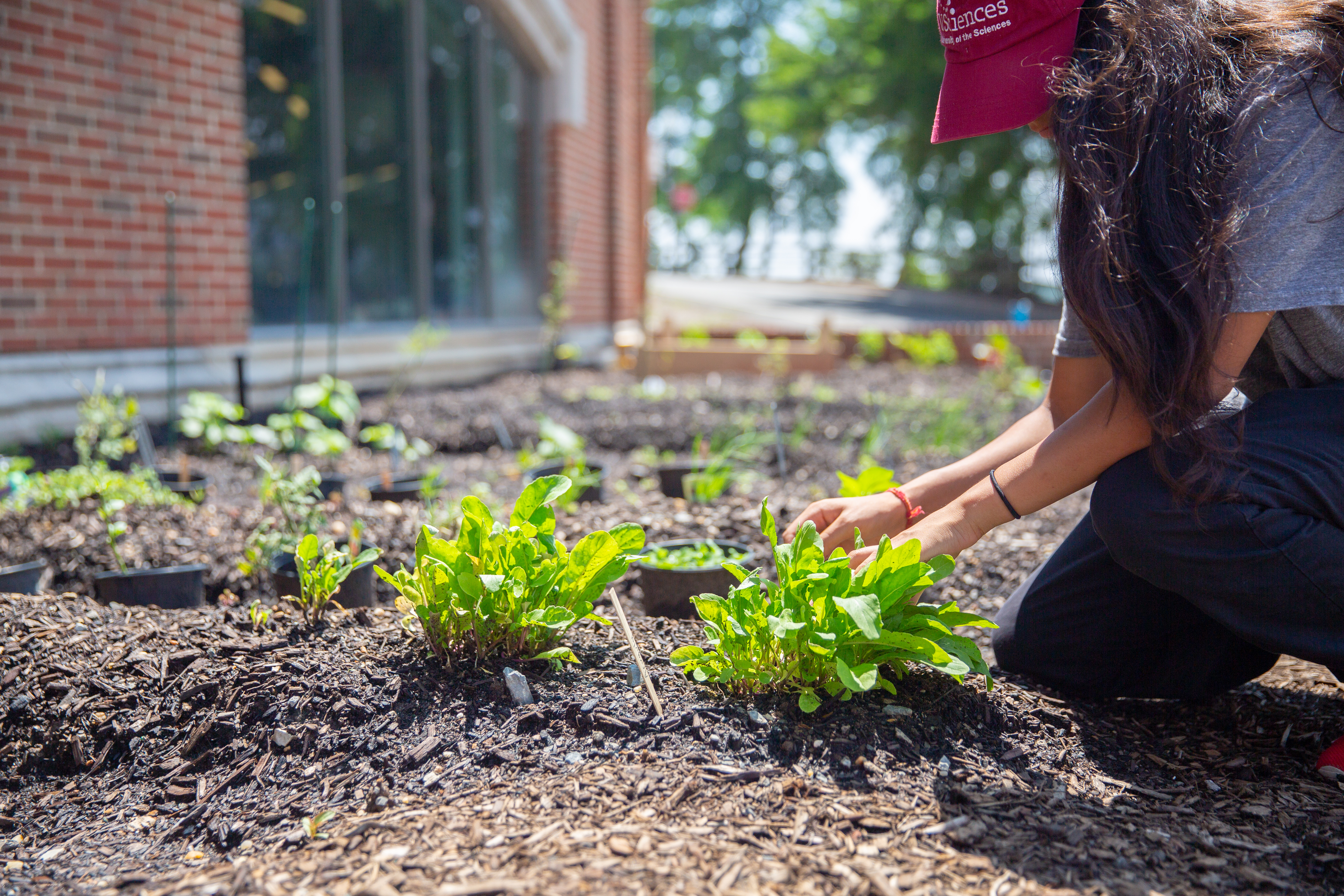 Sustainability Challenges
