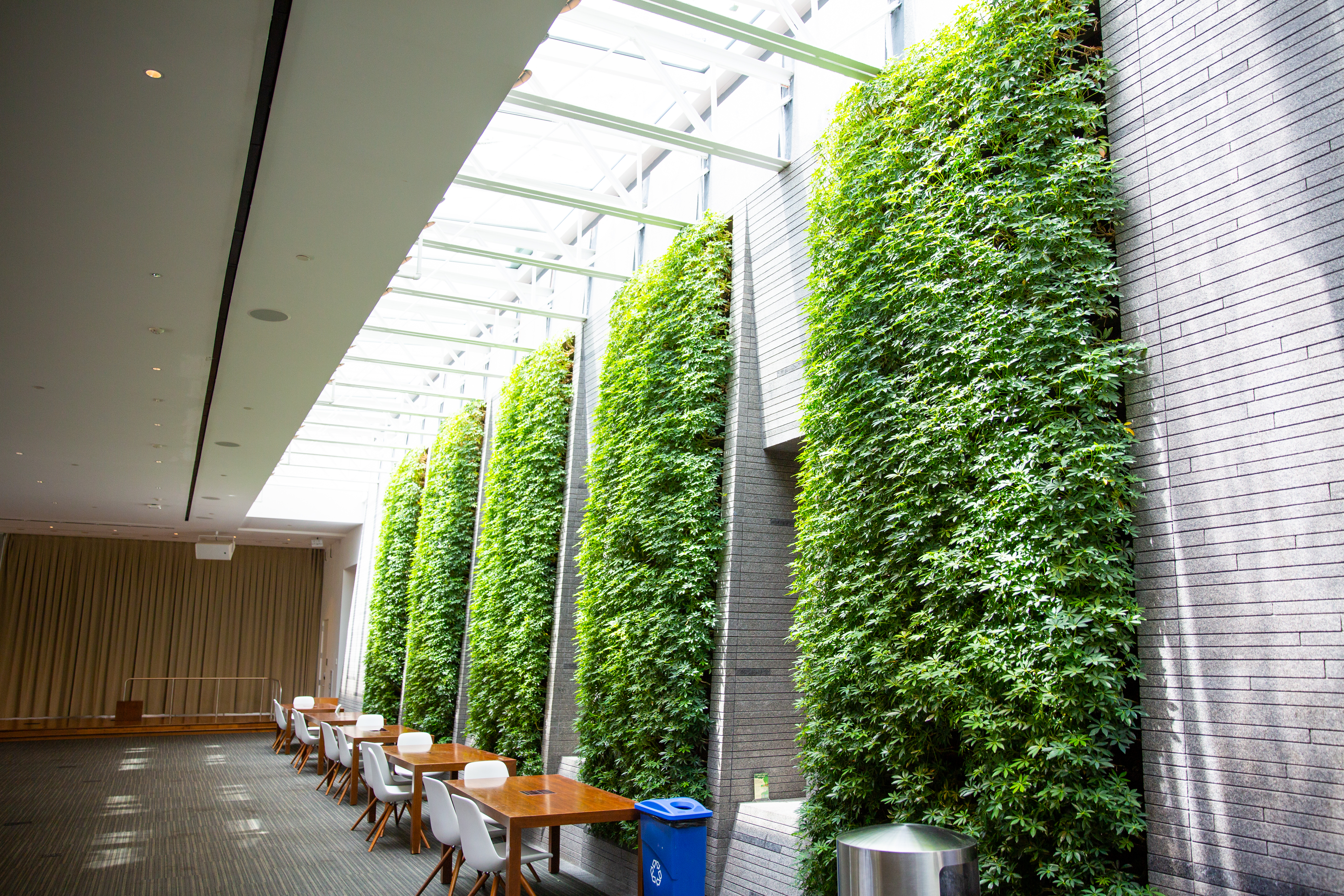 Leading the Way in Sustainability