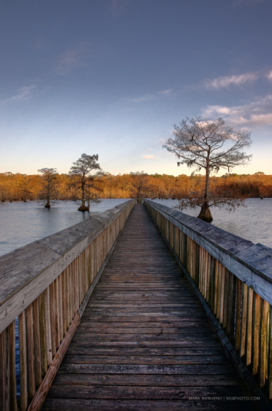 Chicot State Park. Visitors can feel more connected to the lake by walking out into it instead of staying at the edge.