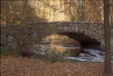 Bridge in Rock Creek Parkway, MD - blends in with its environment and creates a peaceful atmosphere.