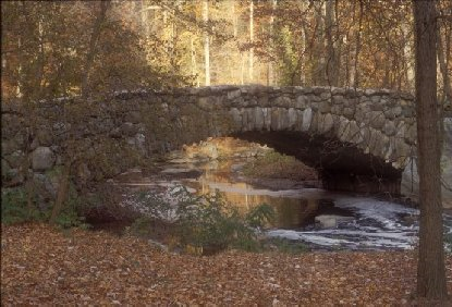 Bridge in Rock Creek Parkway, MD - blends in with its environment and creates a peaceful atmosphere.