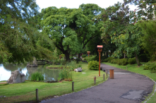 Wide pathway which still allows for a natural shoreline.
