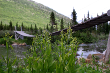 Suspension bridge to a destination off the beaten path could be fun.