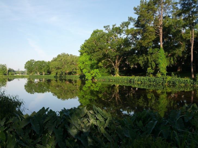 Erie Lake on a beautiful, calm, clear morning.