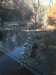 Crystal Bridges, Bentonville, AR.  Lots of trails and bike trails